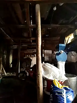 Sarpe84 online show from 01-19-25, 05:48