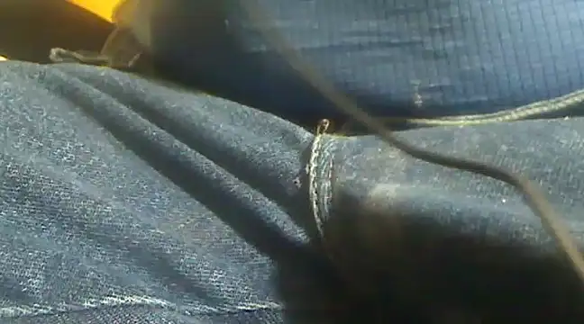 markluvskitty online show from 02-10-25, 04:14