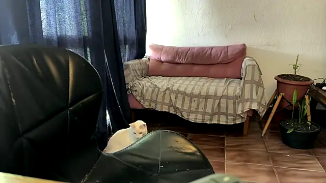 gerson173Hugo online show from 01-07-26, 12:18