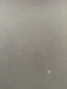 Syka0001 online show from 02-14-26, 10:23