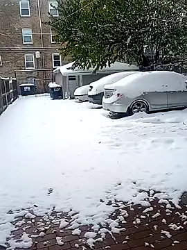 AmazonianMistress online show from 11-10-25, 07:35