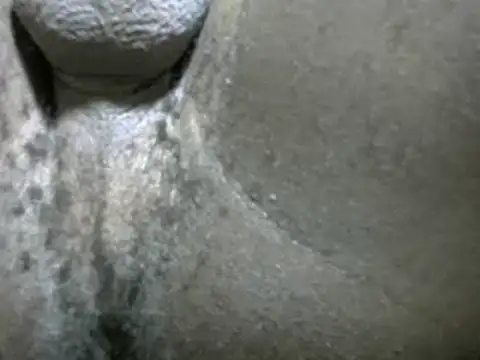 Whitelover online show from 02-24-25, 12:30