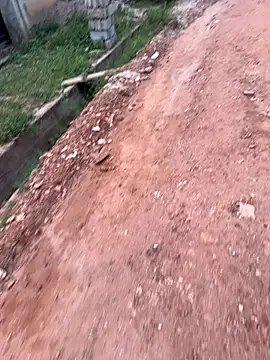 Black-mamba-madingo online show from 09-10-25, 05:35