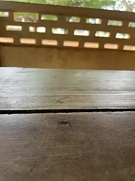 Black-mamba-madingo online show from 09-29-25, 10:09