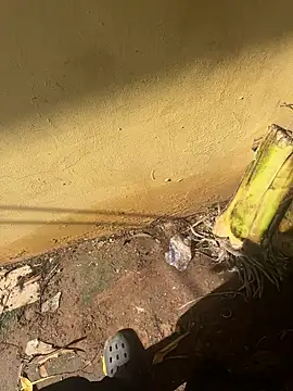 Black-mamba-madingo online show from 10-10-25, 02:16