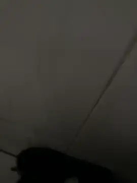 Black-mamba-madingo online show from 04-16-26, 06:19