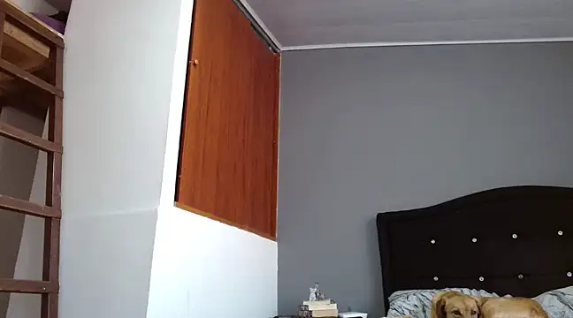 Emilia 1995 online show from 02-28-25, 12:42