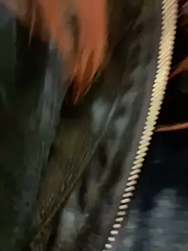 RinaCat online show from 12-24-24, 08:33