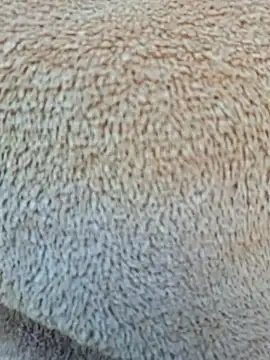 Priya Bong online show from 01-15-26, 04:06