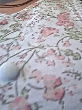 Priya Bong online show from 02-24-26, 03:48