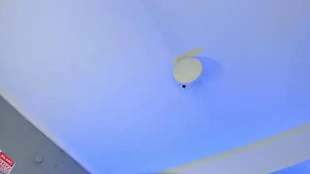 ArigyGomez online show from 11-14-25, 11:24