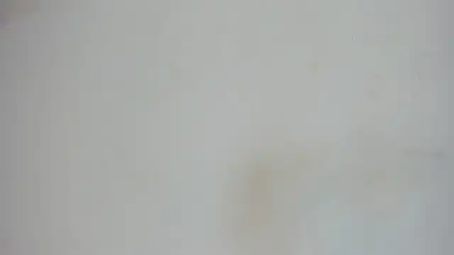 nami sam01 online show from 01-31-25, 11:56