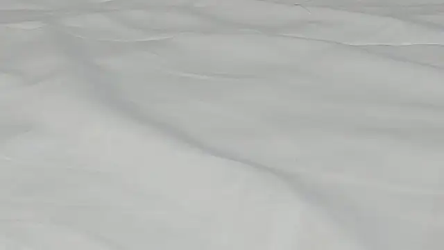 Snapshot of kamila_twink_sexy chatting on 03-27-26, 02:50 kamila twink sexy online show from 03-27-26, 02:50