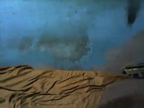 Snapshot of little__joy chatting on 03-01-25, 02:37 little joy online show from 03-01-25, 02:37