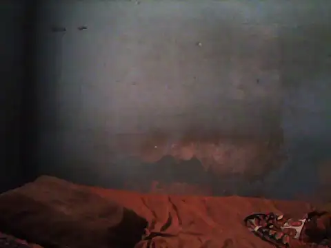 Snapshot of little__joy chatting on 11-05-25, 01:44 little joy online show from 11-05-25, 01:44