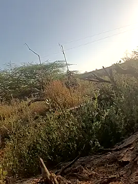 lovesuna online show from 03-05-25, 02:25