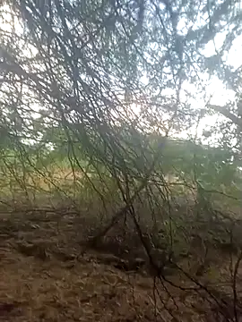 lovesuna online show from 09-30-25, 01:32