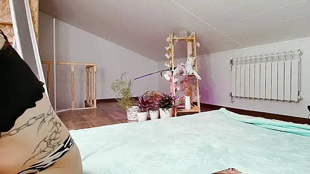 Meowroslava online show from 11-19-25, 10:04