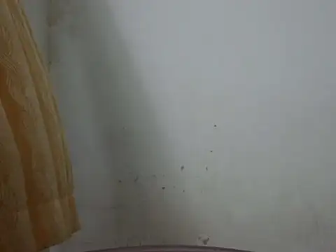 cutelady65 online show from 06-14-26, 02:41