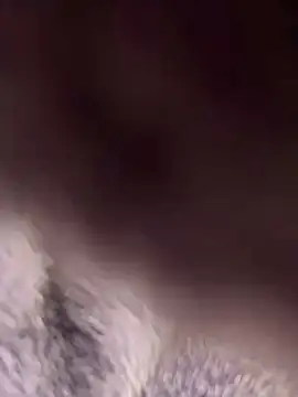 Snapshot of Mendes77777777777 chatting on 10-20-25, 10:54 Mendes77777777777 online show from 10-20-25, 10:54