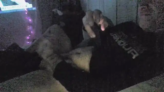 jaxx12369 online show from 12-05-25, 06:55