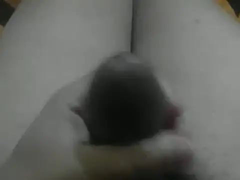 wixssam online show from 01-03-25, 08:43