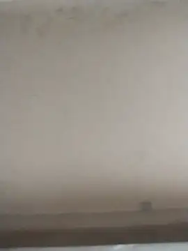 tatoocba88 online show from 11-28-25, 06:43