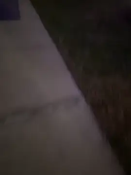 MynameisPaco online show from 12-20-25, 11:23