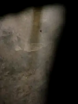 Snapshot of Yasha_14C_Creator chatting on 10-31-25, 04:57 Yasha 14C Creator online show from 10-31-25, 04:57