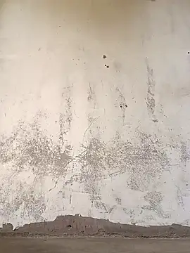 Snapshot of Yasha_14C_Creator chatting on 11-08-25, 07:19 Yasha 14C Creator online show from 11-08-25, 07:19