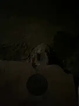 nowex18 online show from 03-14-25, 05:48