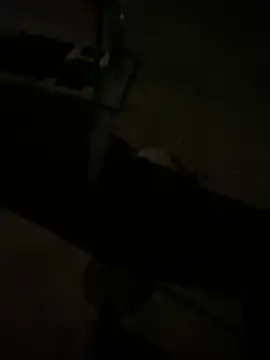 Snapshot of nowex18 chatting on 03-11-26, 06:41 nowex18 online show from 03-11-26, 06:41