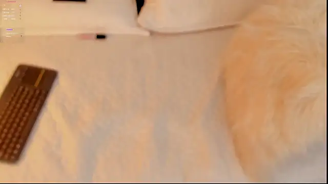 Snapshot of FabianPriince chatting on 01-14-25, 06:28 FabianPriince online show from 01-14-25, 06:28