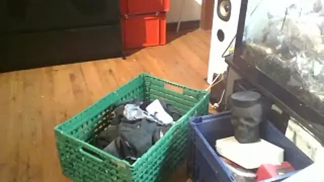 0815lukas2024 online show from 01-16-25, 11:59