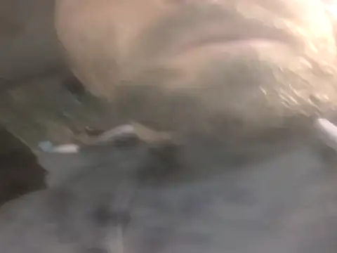 Snapshot of jwiththethickone413 chatting on 11-17-25, 05:52 jwiththethickone413 online show from 11-17-25, 05:52