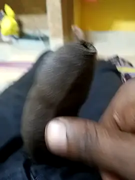 Snapshot of Tamil_boy_age28 chatting on 12-20-25, 03:35 Tamil boy age28 online show from 12-20-25, 03:35