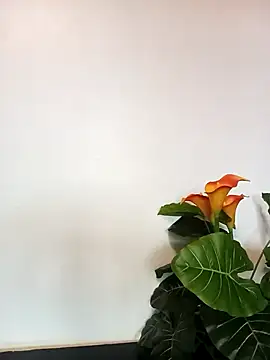 Snapshot of JemaimaPrincess chatting on 03-21-25, 11:22 JemaimaPrincess online show from 03-21-25, 11:22