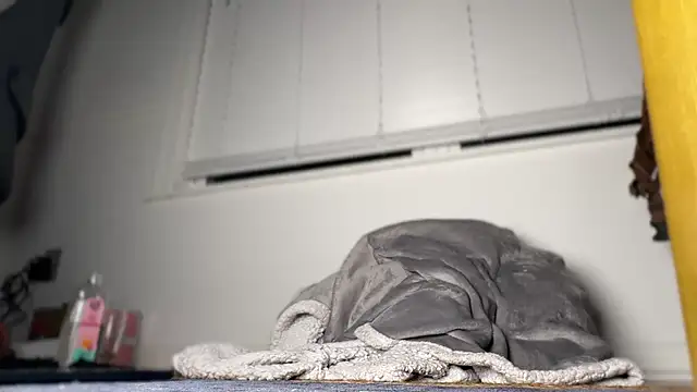 Theonlydreamybull online show from 04-20-26, 04:37