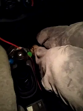 Snapshot of A_man_in_public chatting on 04-10-26, 10:47 A man in public online show from 04-10-26, 10:47