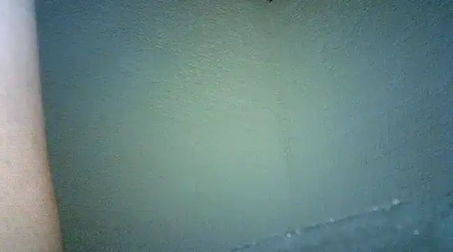 Snapshot of Bellabeltrann chatting on 01-25-25, 09:47 Bellabeltrann online show from 01-25-25, 09:47