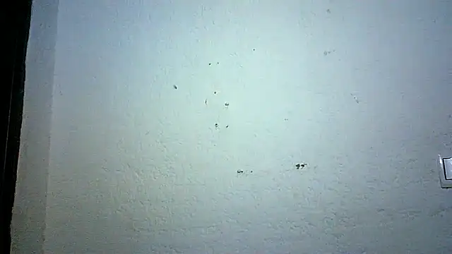 Snapshot of Bellabeltrann chatting on 10-03-25, 09:12 Bellabeltrann online show from 10-03-25, 09:12