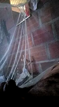 Snapshot of Janle_19c chatting on 01-07-25, 07:06 Janle 19c online show from 01-07-25, 07:06