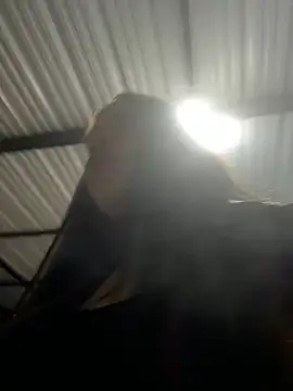 aliensexy online show from 12-25-24, 04:33