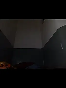 Snapshot of aquilesmade chatting on 11-02-25, 03:14 aquilesmade online show from 11-02-25, 03:14