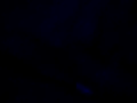 Vinyboy69 online show from 11-08-25, 04:12