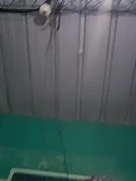 Snapshot of Cris29_84 chatting on 02-24-26, 08:23 Cris29 84 online show from 02-24-26, 08:23