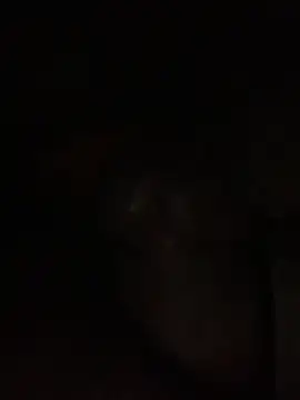 Snapshot of ThickD619 chatting on 12-11-24, 12:23 ThickD619 online show from 12-11-24, 12:23