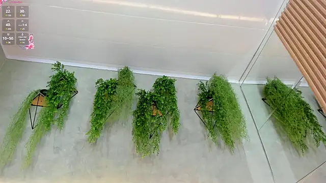 Lana Lann online show from 01-11-25, 06:01