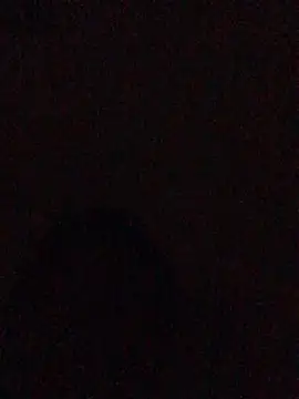 hoot07089 online show from 12-13-24, 02:54