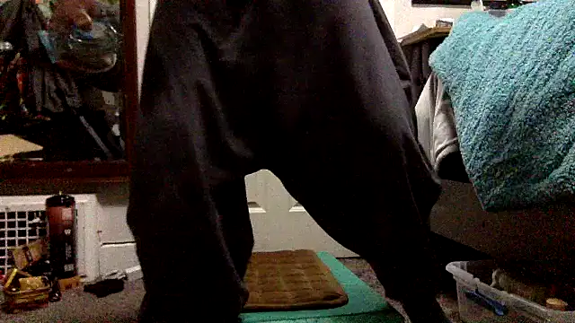 Snapshot of Robriguezxxx chatting on 12-26-24, 07:56 Robriguezxxx online show from 12-26-24, 07:56